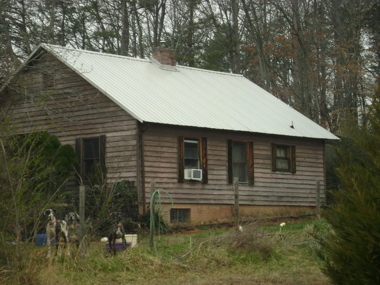 White metal roof on an old wood sided farmhouse, from a Metal Roof Installation job in Cross City